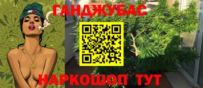 ешки Абакан