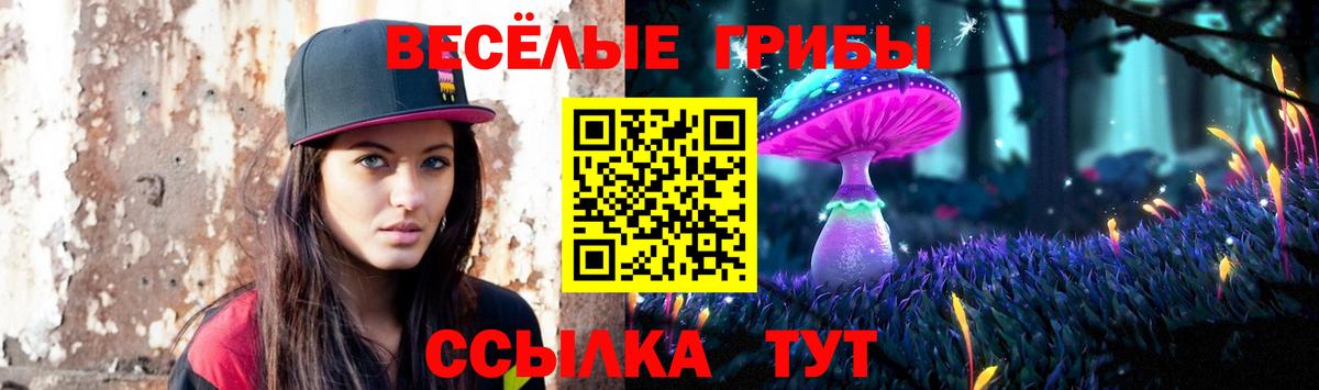 Галлюциногенные грибы прущие грибы Алексин